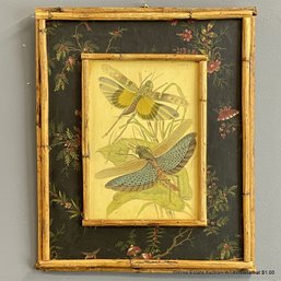 Grasshopper Print Mounted On Board In Unique Hand Painted And Bamboo Frame
