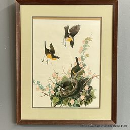 'Yellow Breasted Chat' Audubon Print In Wood Frame