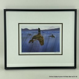 Bill Helin 'Blackfish In Time' Framed Print