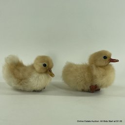 2 Taxidermy Ducklings  (LOCAL PICKUP OR UPS STORE SHIP ONLY)