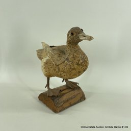 Faux Taxidermy Duck Made Of Natural Materials