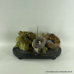 2 Birds Nest, Decorative Moss And Eggs On A Cloche Base (No Glass)