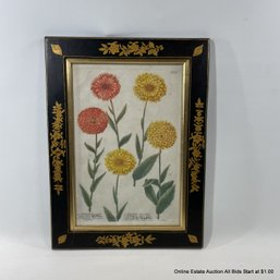 Antique Johann Wilhelm Weinmann (1683-1741) Lithograph Of Calendula Flore