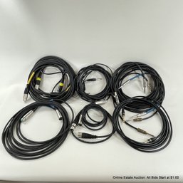 12 Assorted Microphone And Instrument Cables Horizon Prolink VTG Audio And More
