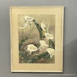 Paul Immel Watercolor On Paper Calla Lily (LOCAL PICKUP OR UPS STORE SHIP ONLY)