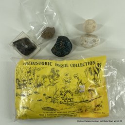 Assorted Fossils & Rocks