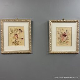 Two Framed Botanical Frames