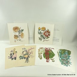 Assorted Botanical Prints