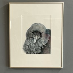 Jan Hurd Crow Portrait Print