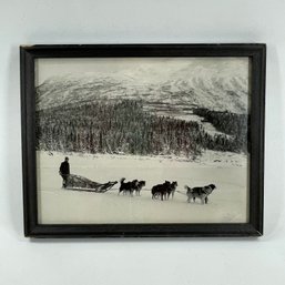 Vintage Framed Dog Musher/Dog Sledder Photograph