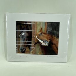 Diane Walker 'Barn Gossip' Matted Color Photo Of Horses Pencil Signed On Mat