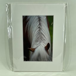 Harry Bleman 'Hidden' Matted Photograph