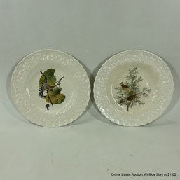 Two Alfred Meakin England Birds Of America  Plates