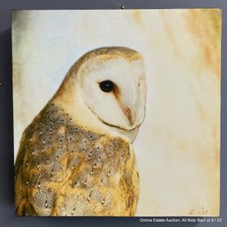 Yuko Ishii Mixed Media Song Of The Barn Owl II 11/50 2018