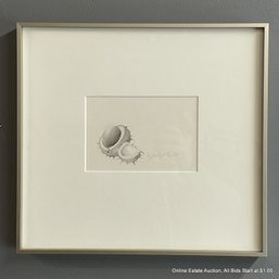 Rosalyn Gale Powell Horse Chestnut Graphite On Paper