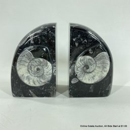 Pair Ammonite Fossil Bookends
