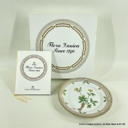 Flora Danica By Royal Copenhagen Bread & Butter Plate Poterilla Retusa Mull. With Original Box