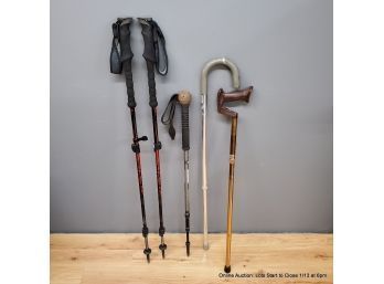 Lot Of 5 Adjustable Canes And Walking Sticks