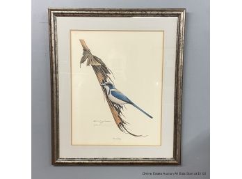 Richard Evans Younger Scrub Jay Pencil Signed Offset Lithograph Plate VI