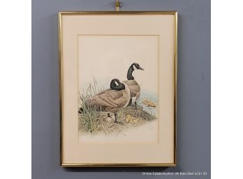 Glen Loates Offset Lithograph Of Geese With Goslings