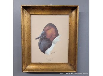 Art La May Offset Lithograph Of Canvasback
