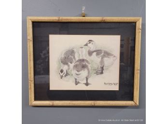 Framed Print Of Three Ducklings