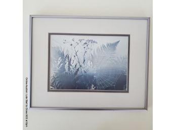 Framed Elton Bennett 'the Web' Print