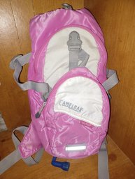 Camelbak Mini Mule Bladder Backpack