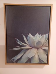 Framed Canvas Succulent Plant Artwork