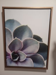 Framed Canvas Succulent Plant Artwork