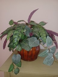 Small Decorative Plant