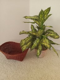 Fake Plant And Basket