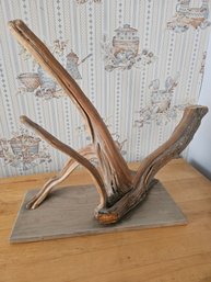 Driftwood On A Stand