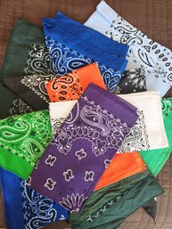 11 Different Colored Bandannas