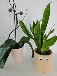 2 Pink/Tan Pottery House Plants