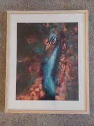 Framed Peacock Print Artwork Signed KB