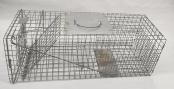 Tomahawk Live Cage Trap