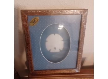 Framed Shadow Box With Shell