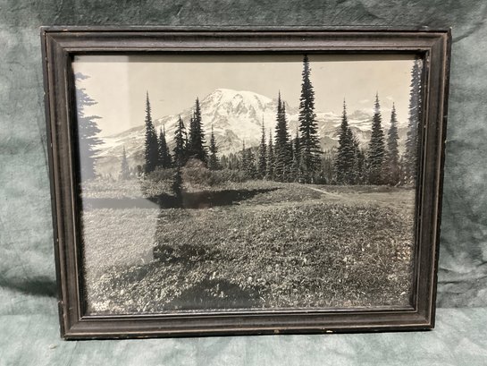 080 Black & White Mountain Forest Framed Photograph