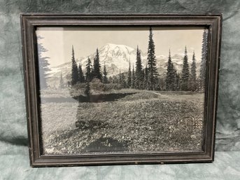 080 Black & White Mountain Forest Framed Photograph