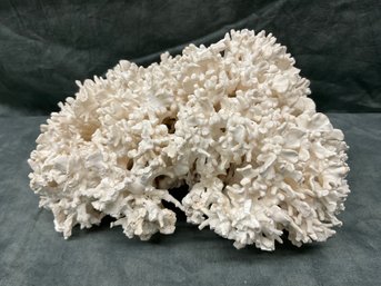 084 White Coral Decor Piece 7'