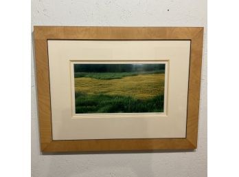 2007 Signed John Hughey Undulating Yellow Framed Photography (#59)