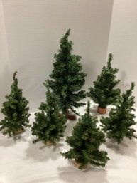 Collection Of Christmas Trees