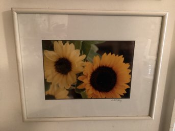 Signed Photography Art