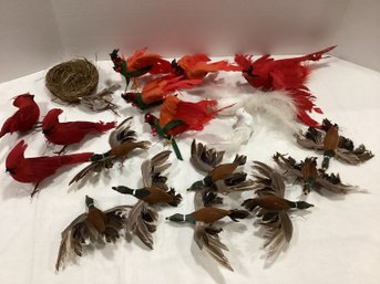 Vintage Real Feather & Other Birds