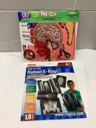 Sealed Pre Cut Human Body Parts & True To Life X-Rays Medical/learning Toys