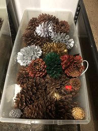 Tote Full Of Pine Cones