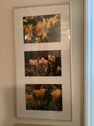 Signed Photography Art