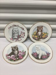 Set Of Four Crown Trent Bone China Cat Plates