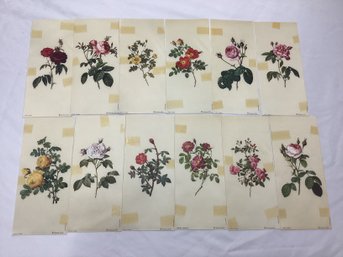 PJ Redoute Rose Prints On Cloth Printed In West Germany